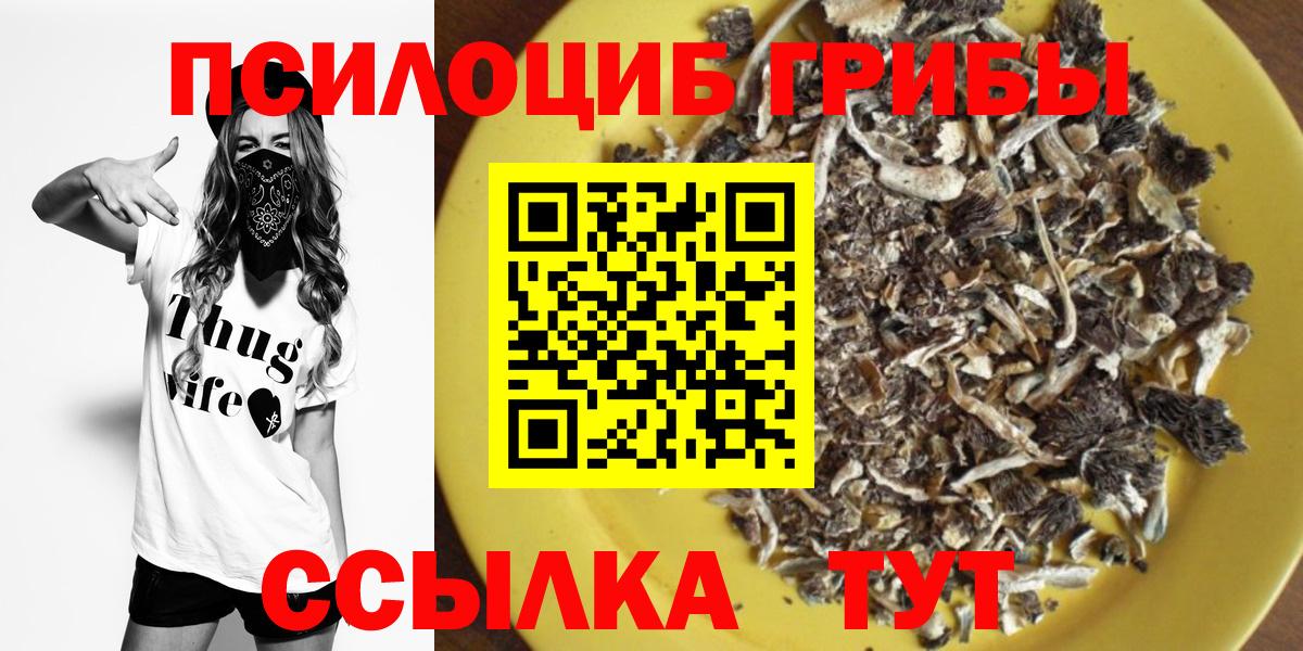 Псилоцибиновые грибы мицелий Кохма