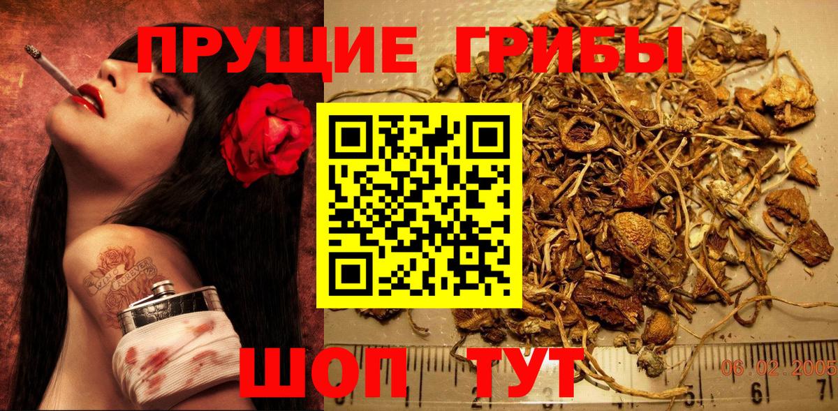 Галлюциногенные грибы MAGIC MUSHROOMS  Галлюциногенные грибы Cubensis  Кохма  Вход с VPN 